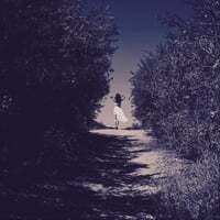 Follow Me Through
